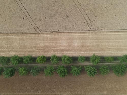 DJI_3628.JPG